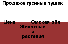 Продажа гусиных тушек  › Цена ­ 300 - Омская обл. Животные и растения » Птицы   